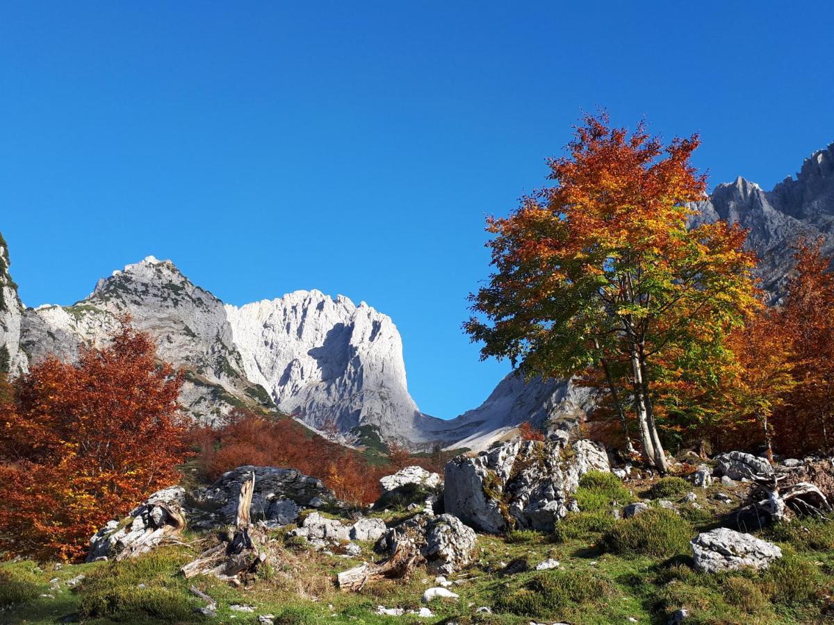 Haus Strobler Apartment Going am Wilden Kaiser ภายนอก รูปภาพ