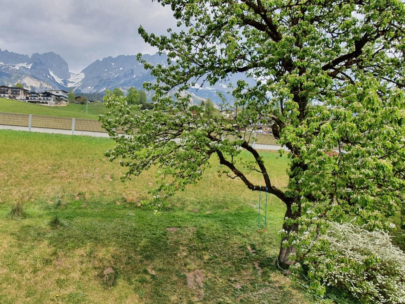 Haus Strobler Apartment Going am Wilden Kaiser ห้อง รูปภาพ